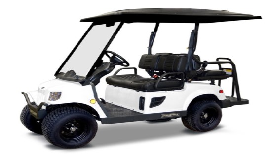 journeyman golfcart 2+2